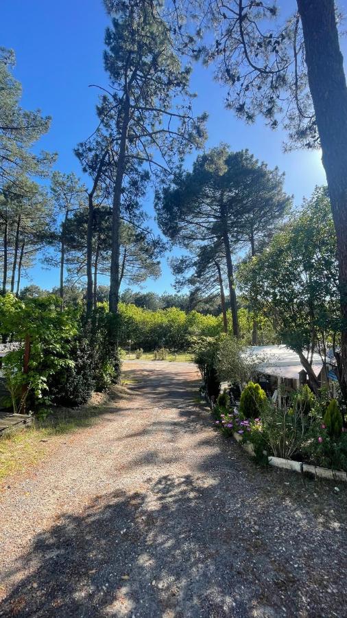 Tiny House Famille Nature Cap Ferret Claouey Extérieur photo